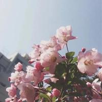 一位农民工的七夕节