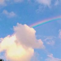 特别的爱给特别的你