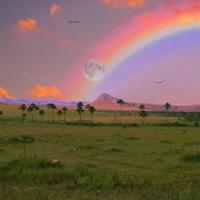 夫妻笑话大全爆笑(一)