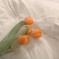 河南农村真实鬼故事-怪婴