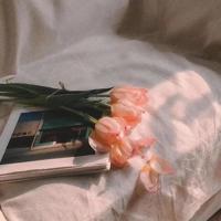 苦涩的野菜,香甜的记忆