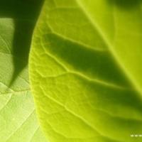 岁月如梭，一岁年龄一岁心