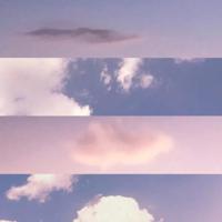 尘埃落定后的第N次心动