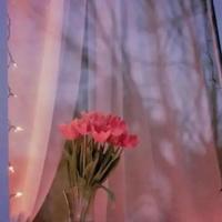 用最笨的方式感动你