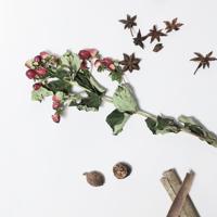 鼓励学生好好学习的经典励志话语