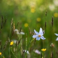 既然爱了，就别轻言放弃