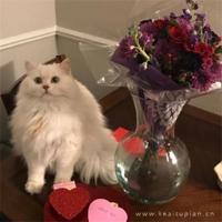 能笑死人的笑话