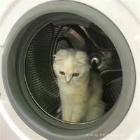 享受学习 快乐生活