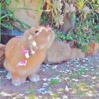 郭敬明经典语录大全 那些以前说着永不分离的人，早已经散落在天