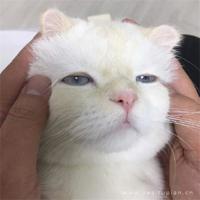 人生是一种平衡，再苦，也要微笑，让心学会轻