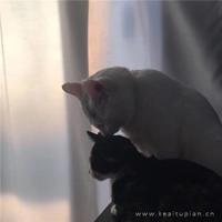 爱情就是让他陪你看一次病
