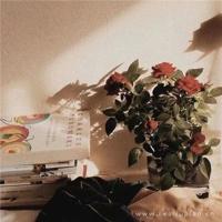 岁月悠悠（组诗）