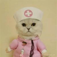 人生四十,读懂母亲