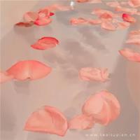 蜡笔小新之无法前进的时间