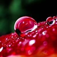 若干年后的“同学会”