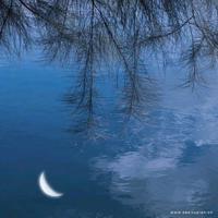 有关失恋的句子,关于失恋伤感的句子