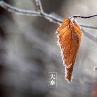 爱情到最后,是唯怕人间雪满头