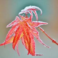 郭敬明最伤感语句 童话已经结束,遗忘就是幸福