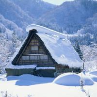 鼓励自己坚强的句子/鼓励语录