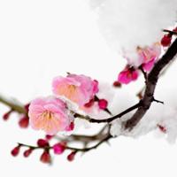 乡愁是什么永远散发着温情