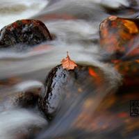 他深夜回家藏床尾