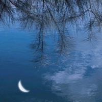 我们这个时代爱情的那场大雨还在下