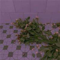 骨子里的高贵（深度好文）