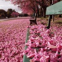 心灵的韧度，成就功业不可缺少的品格