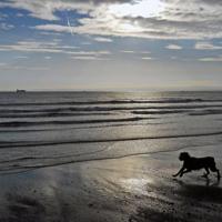 妈妈,我爱您,一直都深爱着您