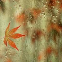 几何人生，人生几何，无奈人生短暂，生命宝贵