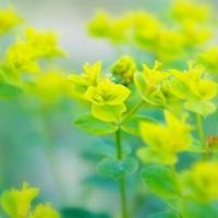 再烦也别忘微笑，再急也要注意语调