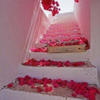 选择被生活承认