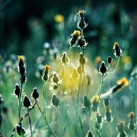 婚姻应该是爱情的目的地，而不是无奈的将就