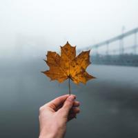 最后一个位置是留给你的