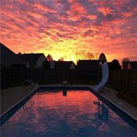 张爱玲经典爱情语录 因为懂得,所以慈悲