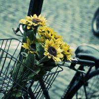 意境瓶子简单图片_瓶子里全都是美好希望