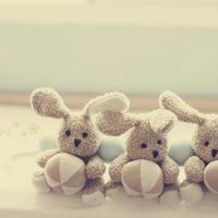 花开彼岸,与君百年