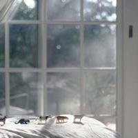 雨中漫步:又是一年春暖季