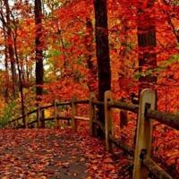 越过时间观念去拥抱你