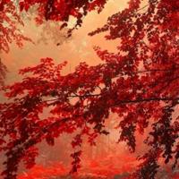 经典人生哲理名言，生活哲理名言精选