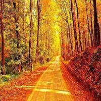 用生命与你相约