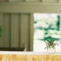 毫无经验的初恋是迷人的,但经得起考验的爱情是无价的