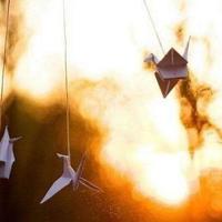 我不能选择贵公司