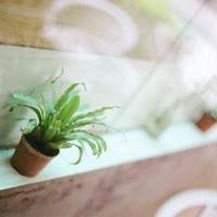 离别的季节短文散文