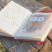 假如你走来，我将拥抱你