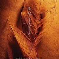 感情迷宫里，我的爱找不着北