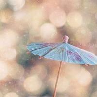 《季羡林散文集》读后感7篇