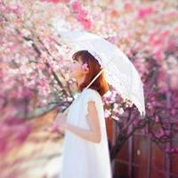 鸠占鹊巢散文欣赏