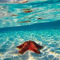 “好色”才是真男人？答案竟然是肯定的！