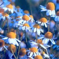 不是每一片乌云都下雨